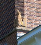 Zeeleeuwbeeld aan de achterzijde.
<br/>
Marcel Westhoff, mei 2020